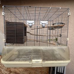Bird Cage 