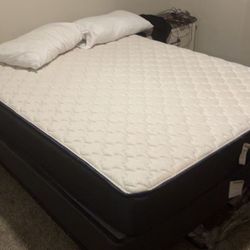 Like New Queen Mattress Box Spring And Frame!