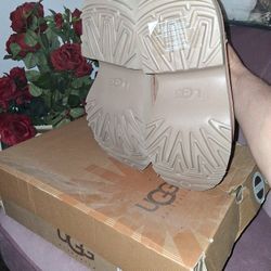 UGG Low Rise Boots 