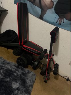 Workout Bench