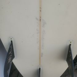 Surf Board Fcs
