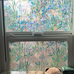 Window Cover 