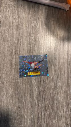 Panini world cup sticker