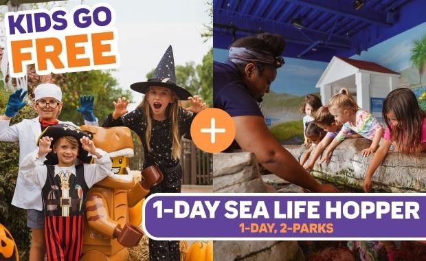 Legoland Hopper Tickets