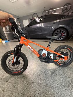 New 16" fxb fish extreme 36v electric bike