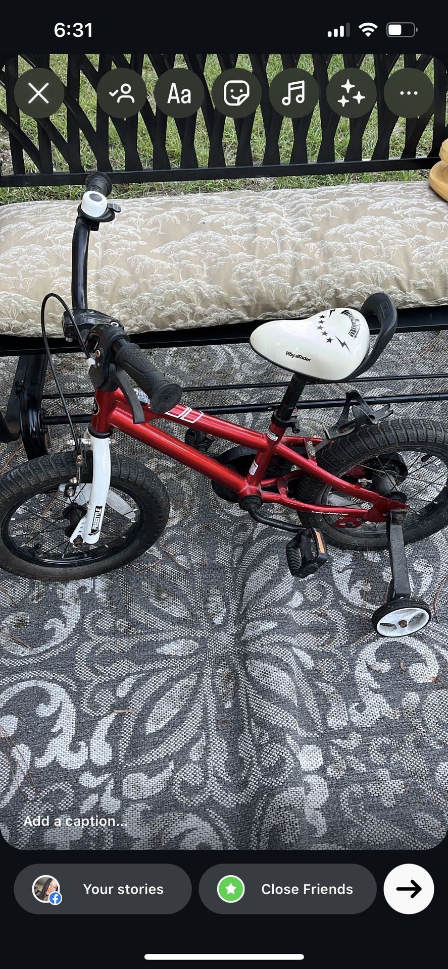 Toddler Bike