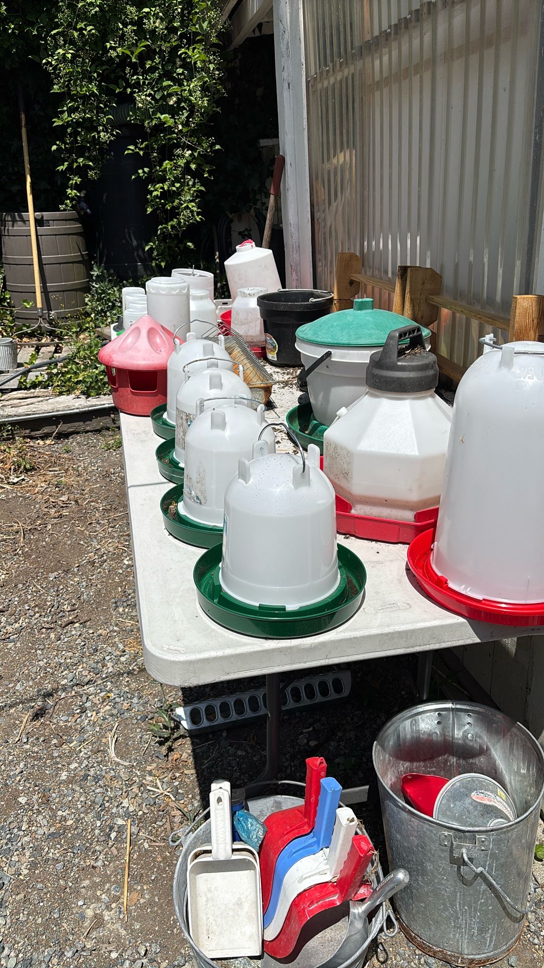 Assortment Of Chicken/poultry Waterers