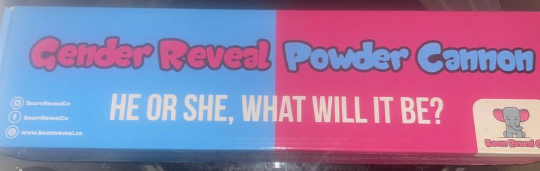 gender reveal