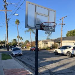Adjustable Lifetime basketball hoop