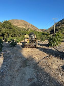 Tree mulcher#skid loader#masticator#