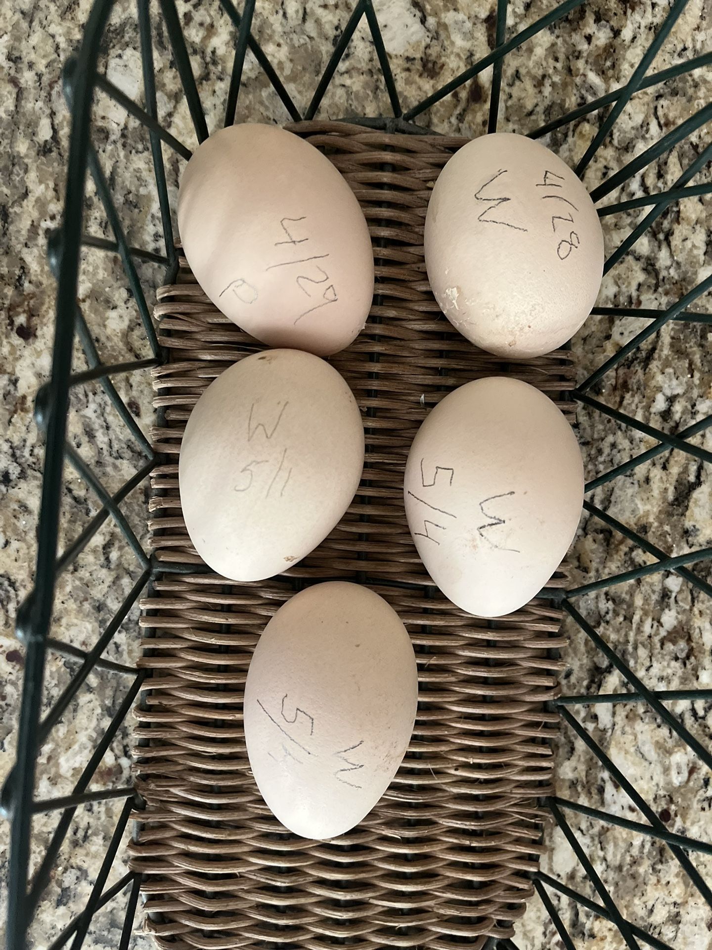 Peacock Eggs