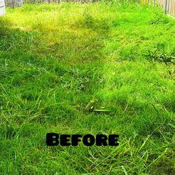 Landscaping And Lawn Care 