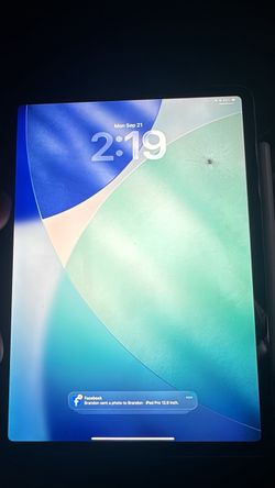iPad Pro 11 inch ( 2nd Gen ) WiFi