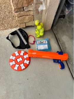 Dog stuff