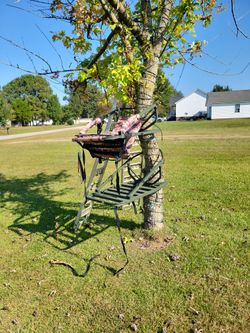 Tree Stand-Lounge