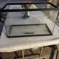 10 Gallon Tank 