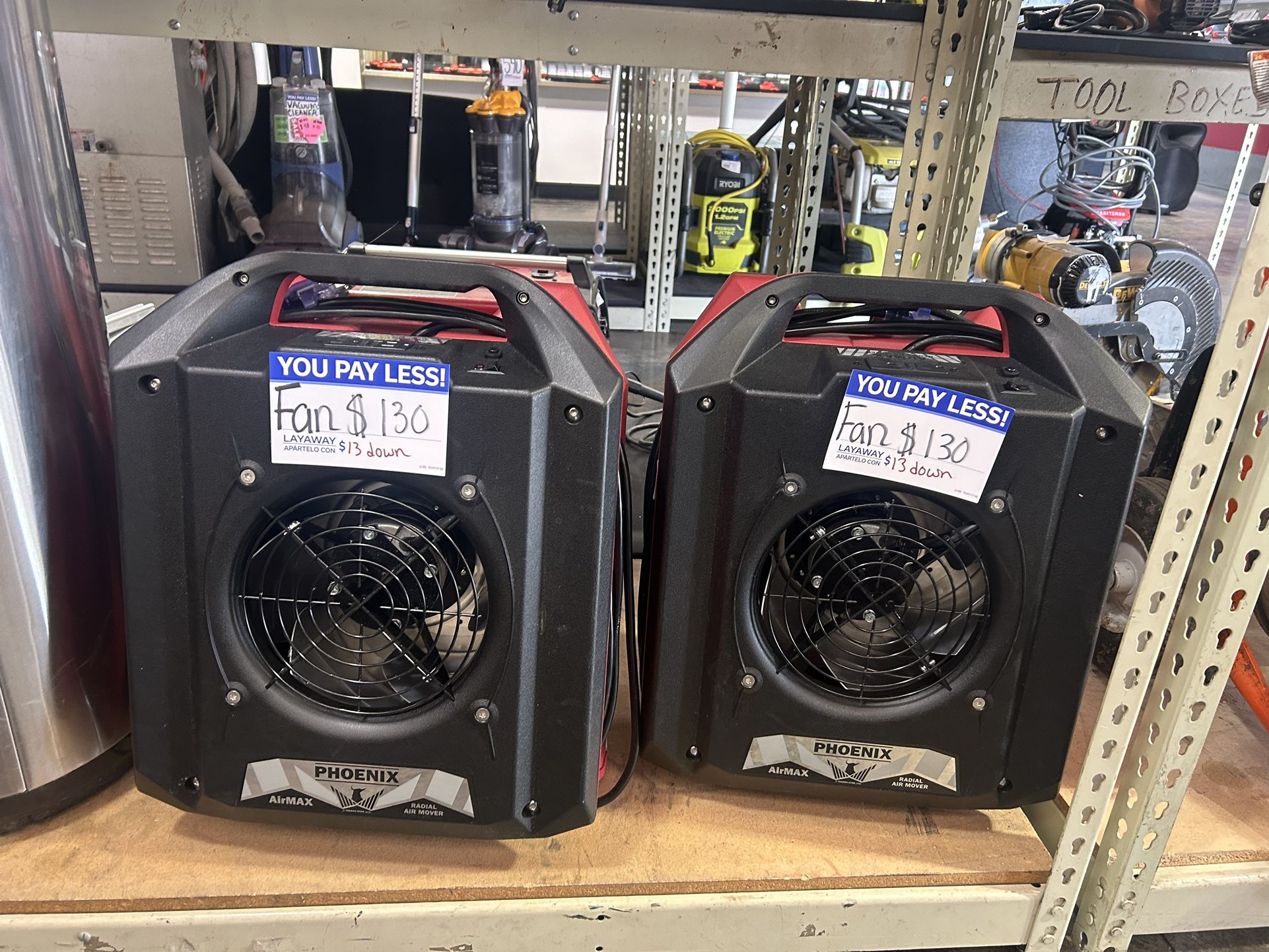 Fans Phoenix