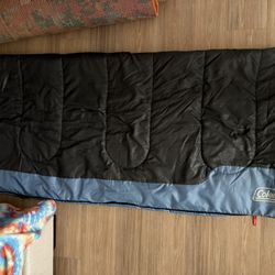 Sleeping bag 