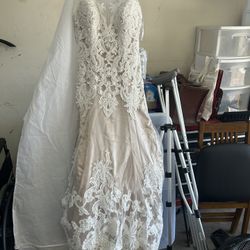 One Of A Kind Wedding Dress About 14
