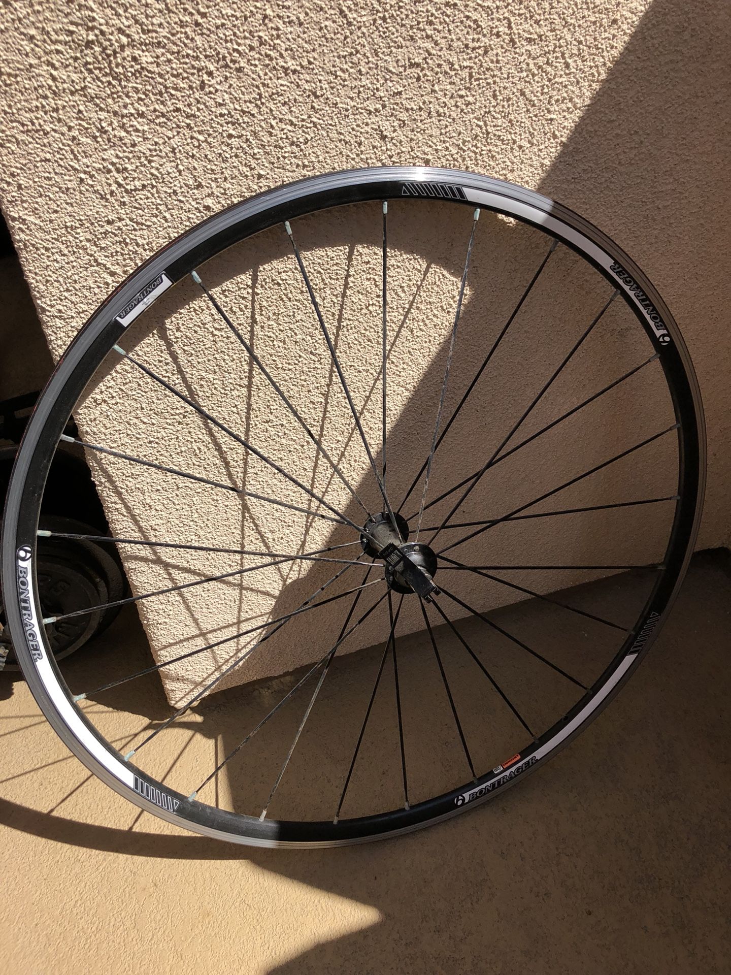 700c rims for bike