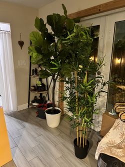 Plantas Artificiales 