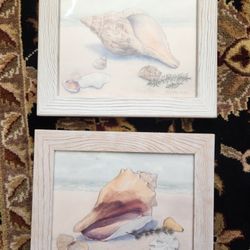 Sea Shell Pictures For Sale - $30