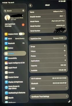 iPad mini 256g