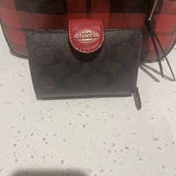 Woman accessories