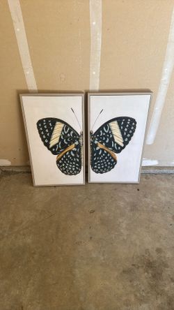 Butterfly Canvas