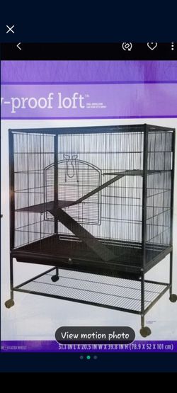 Animals Cage 