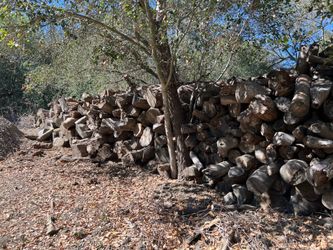 Firewood