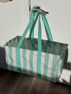 Beach/park Bag