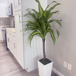 Artificial Plant 