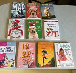 Lot of 10 Children's Chapter Books