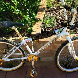 24 Inch Bmx Custom Cruiser Se Floval Flyer