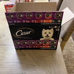 César  Dog Food