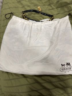 Leopard coach bag