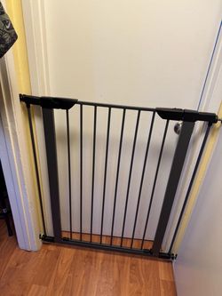 Doggy door