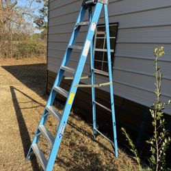 8ft Ladder 