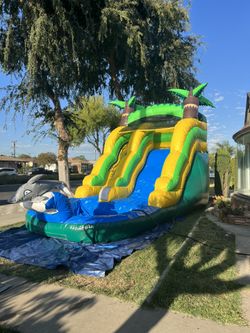 Summer Fun