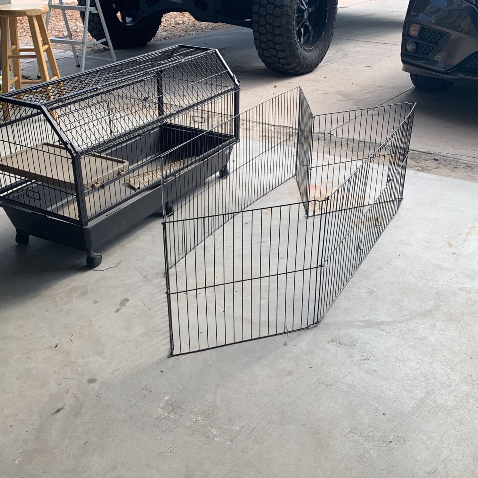 Cage For Bunny 