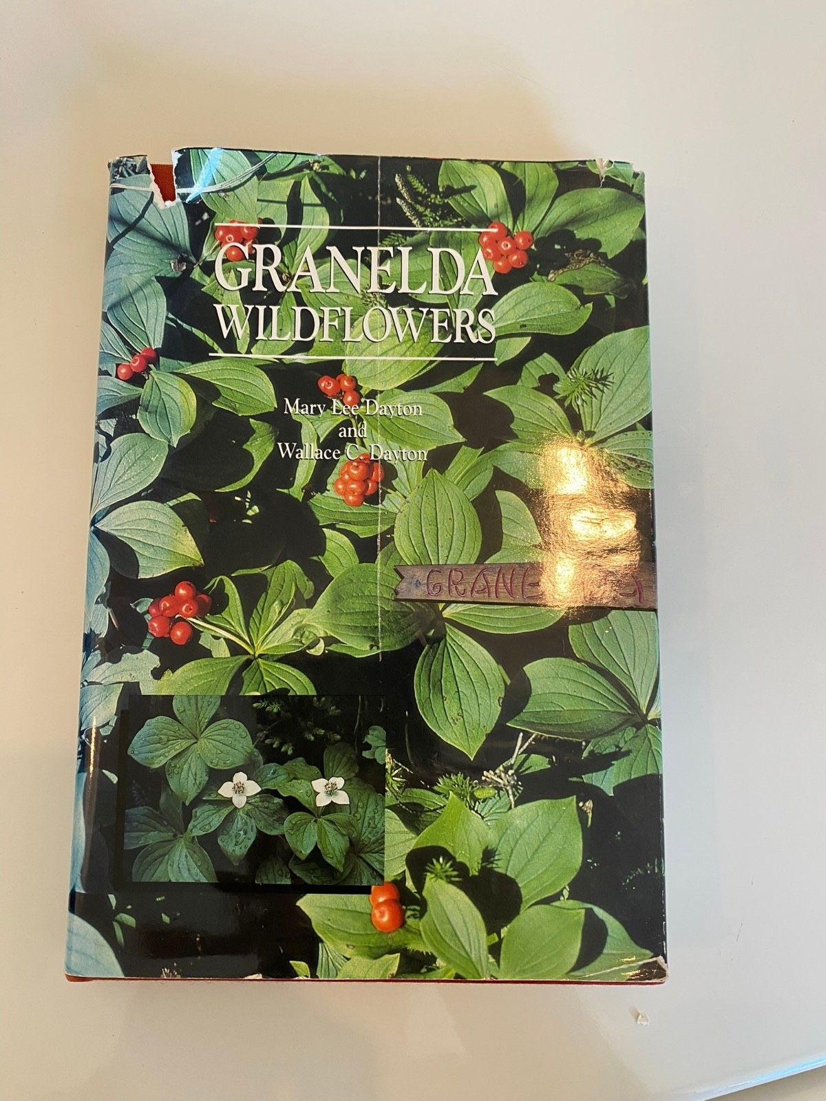 Granelda Wildflowers