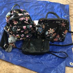 Purses.  Back Park Purse Small Purse Girls Backpack 