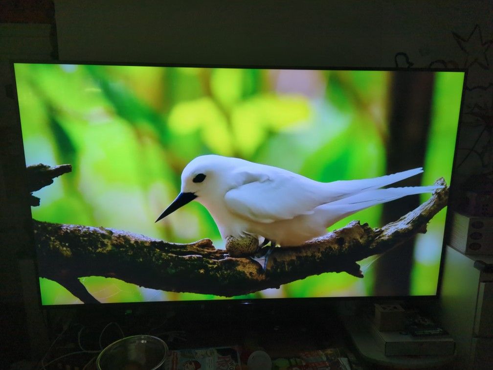 Sony 75 Inch TV 4k UHD