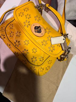 Coach poppy eyelet crossbody bag