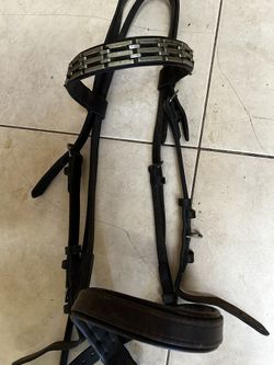 Bridle 