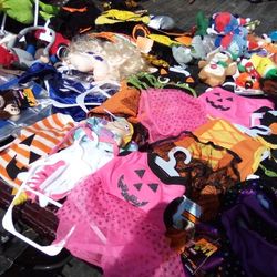 Dog And Cat Halloween Costumes And Toys