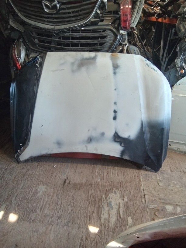 2020 - 2024 Hyundai Palisade Hood