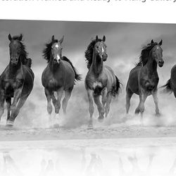 Running horses canvas wall art