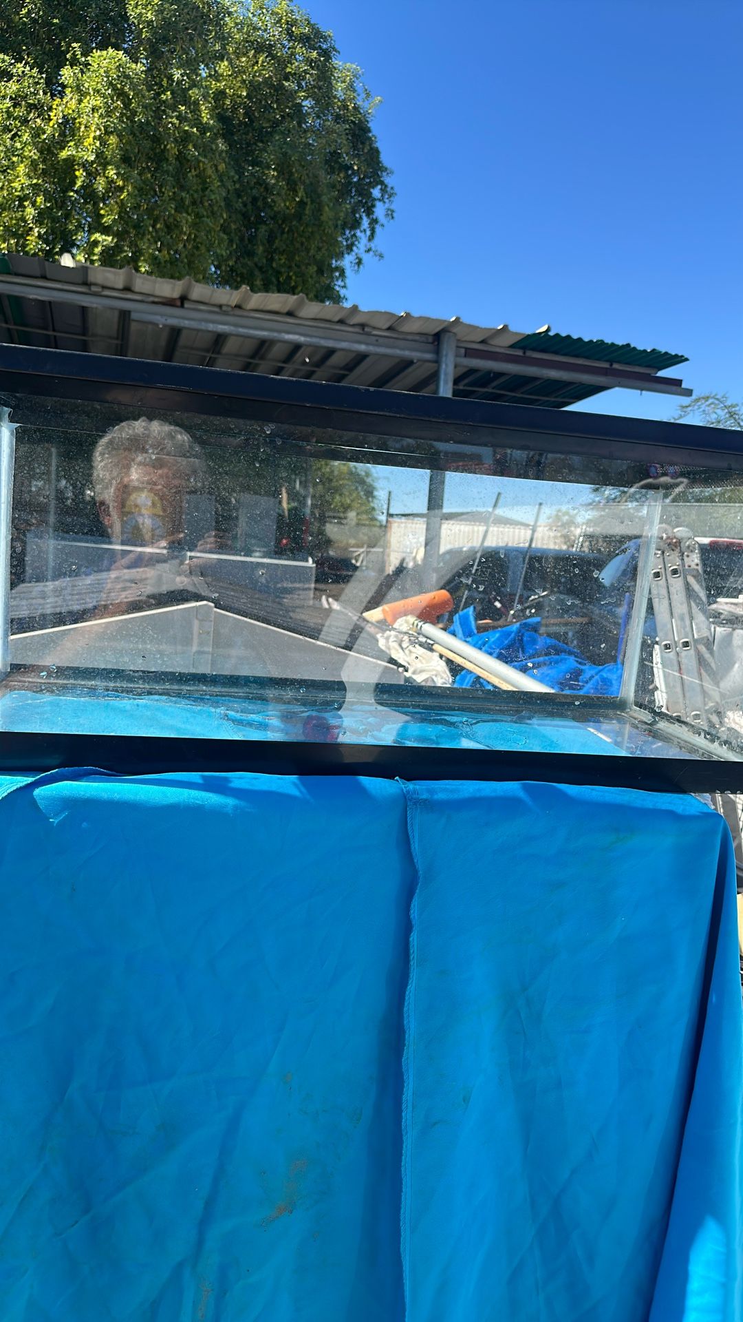 Midsize terrarium 30 inches long by 13 inches high and 12 inches wide